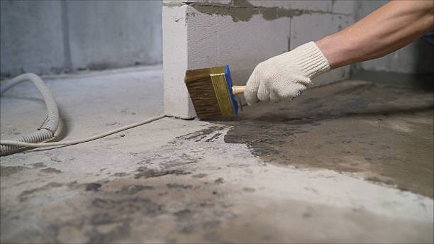 SJ Waterproofing Pros Waterproofing coverage map for Axis, AL and surrounding area